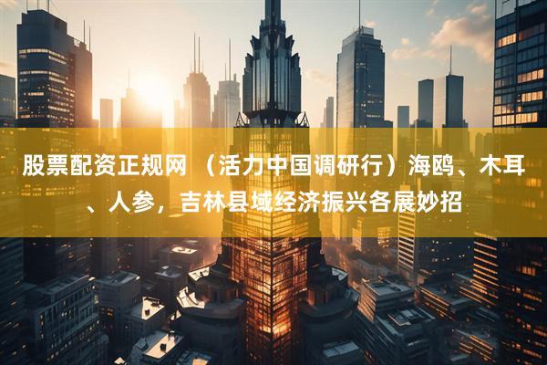 股票配资正规网 （活力中国调研行）海鸥、木耳、人参，吉林县域经济振兴各展妙招