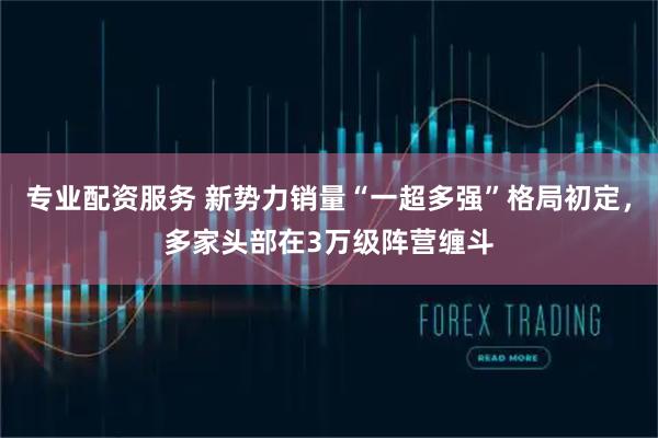 专业配资服务 新势力销量“一超多强”格局初定，多家头部在3万级阵营缠斗